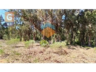 https://www.gallito.com.uy/terreno-en-maldonado-parque-burnet-ref-4285-inmuebles-25800591
