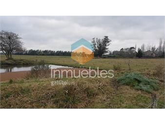 https://www.gallito.com.uy/venta-chacra-en-la-pataia-inmuebles-22909311