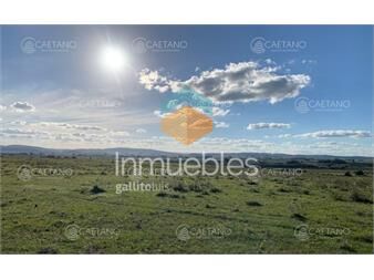https://www.gallito.com.uy/chacra-en-venta-5-has-ruta-39-inmuebles-25834935