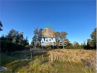 https://www.gallito.com.uy/chacra-en-playa-hermosa-ref-ch501811-inmuebles-25841537