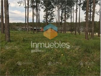 https://www.gallito.com.uy/amplio-terreno-con-servicios-inmuebles-25889334