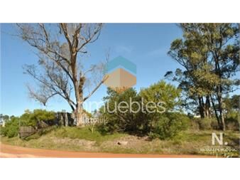 https://www.gallito.com.uy/venta-terreno-en-la-barra-maldonado-inmuebles-25892299