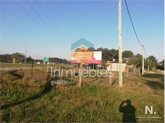 https://www.gallito.com.uy/venta-de-terreno-con-casa-a-terminar-en-la-zona-de-tio-tom-inmuebles-25040165