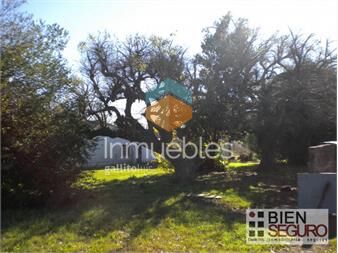https://www.gallito.com.uy/chacra-de-3-4-has-en-venta-en-los-cerrillos-inmuebles-24240786