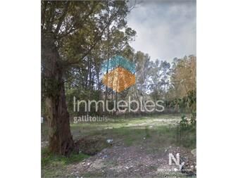 https://www.gallito.com.uy/terreno-a-la-venta-en-el-tesoro-maldonado-la-barra-inmuebles-25041581