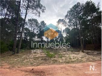 https://www.gallito.com.uy/oportunidad-terreno-en-venta-en-club-del-lago-punta-balle-inmuebles-25037568
