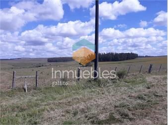 https://www.gallito.com.uy/campo-18-has-en-las-cañas-consulte-inmuebles-25257318