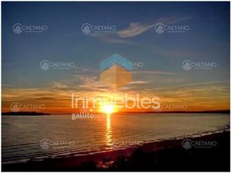 https://www.gallito.com.uy/excelente-apto-con-vista-directa-al-mar-mansa-punta-del-inmuebles-25967688