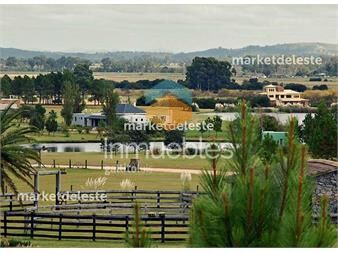 https://www.gallito.com.uy/lote-en-el-quijote-5000-m2-inmuebles-25793426