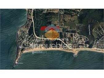 https://www.gallito.com.uy/chacra-en-punta-ballena-inmuebles-25979267