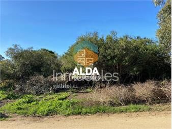 https://www.gallito.com.uy/terreno-en-pueblo-obrero-ref-te101275-inmuebles-22507075