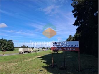 https://web5.gallito.com.uy/ruta-5-km-15-predio-rural-con-mejoras-inmuebles-26000859