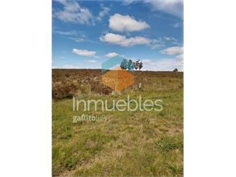 https://www.gallito.com.uy/campo-pan-de-azucar-inmuebles-21506707