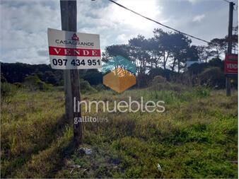https://www.gallito.com.uy/terreno-punta-del-este-inmuebles-24852088