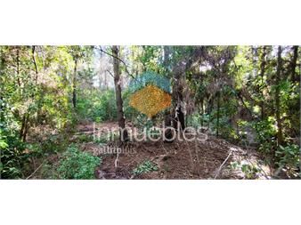 https://www.gallito.com.uy/terreno-en-punta-ballena-inmuebles-23840319