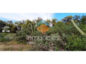 https://www.gallito.com.uy/terreno-en-sauce-de-portezuelo-490-m2-inmuebles-23920253