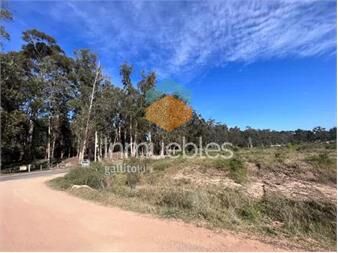 https://www.gallito.com.uy/terreno-en-4h-maldonado-de-327-m2-inmuebles-24122305
