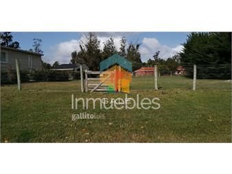 https://www.gallito.com.uy/terreno-en-punta-del-este-inmuebles-26008159