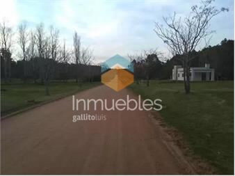https://www.gallito.com.uy/terreno-en-chacras-del-pinar-inmuebles-23535944