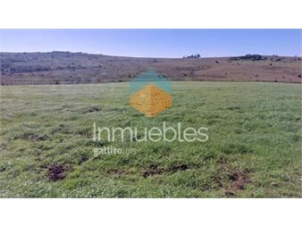 https://www.gallito.com.uy/7-has-cerca-de-pueblo-eden-inmuebles-23946697