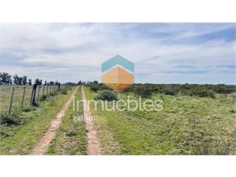 https://www.gallito.com.uy/campo-15-has-con-costa-de-arroyo-en-los-ceibos-inmuebles-26059456