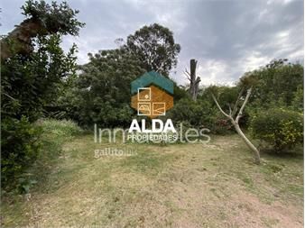 https://www.gallito.com.uy/terreno-en-los-angeles-ref-te101297-inmuebles-23229874