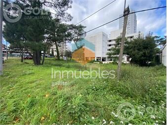 https://www.gallito.com.uy/venta-de-terreno-en-punta-del-este-inmuebles-26093218