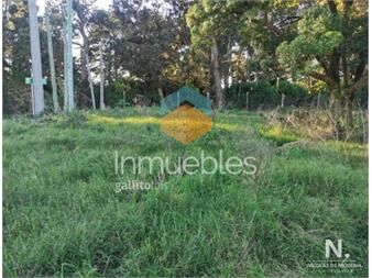 https://www.gallito.com.uy/vende-terreno-en-piedras-del-chileno-inmuebles-26109263