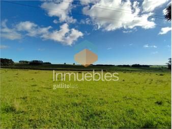 https://www.gallito.com.uy/chacra-en-venta-sobre-ruta-9-inmuebles-26118391
