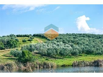 https://www.gallito.com.uy/venta-chacra-5-hectareas-garzon-maldonado-financiacion-inmuebles-25376426