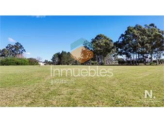 https://www.gallito.com.uy/terreno-en-venta-en-el-quijote-inmuebles-24996032