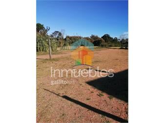 https://www.gallito.com.uy/impecable-terreno-para-inversionistas-inmuebles-21962555
