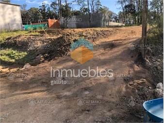 https://www.gallito.com.uy/venta-terreno-la-querencia-lindero-los-aromos-inmuebles-25880814