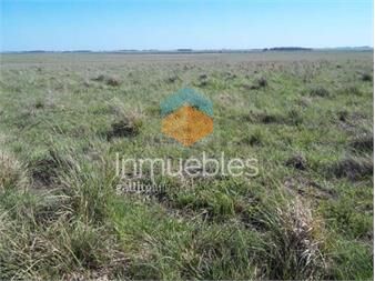 https://www.gallito.com.uy/campo-ganadero-l-salto-i-450-ha-ic-93-inmuebles-26168629