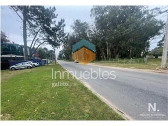 https://www.gallito.com.uy/vende-terreno-de-1200m2-en-pedragosa-sierra-punta-del-est-inmuebles-26178074
