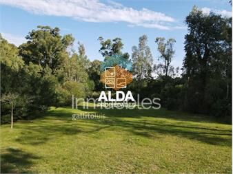 https://www.gallito.com.uy/terreno-en-punta-colorada-ref-te201827-inmuebles-21586021