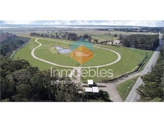 https://www.gallito.com.uy/venta-terrenos-zona-edificios-caracoles-ciudad-jardin-inmuebles-25944532