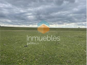 https://www.gallito.com.uy/campo-ganadero-agricola-forestal-i-rio-negro-i-ha-3000-ic-inmuebles-26212733