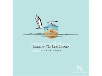 https://www.gallito.com.uy/extenso-terreno-en-laguna-de-los-cisnes-inmuebles-26221703