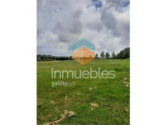 https://www.gallito.com.uy/land-maldonado-inmuebles-21280546