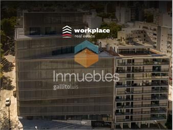 https://www.gallito.com.uy/venta-o-alquiler-oficinas-centro-categoria-aaa-estrenar-inmuebles-26055386
