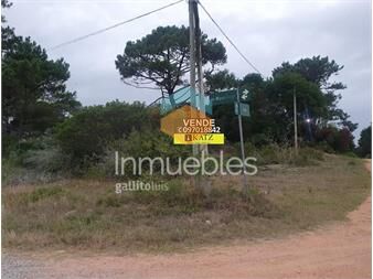 https://www.gallito.com.uy/parada-28-de-la-brava-3-cuadras-de-la-rambla-inmuebles-21971406