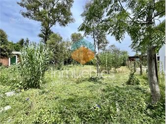 https://www.gallito.com.uy/terreno-en-venta-el-tesoro-inmuebles-25026346
