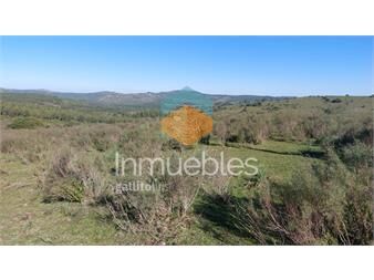 https://www.gallito.com.uy/campo-8-has-y-media-en-zanja-del-tigre-ruta-12-inmuebles-23920496