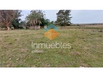 https://www.gallito.com.uy/114-has-9201-m2-en-paraje-jose-ignacio-inmuebles-23946942