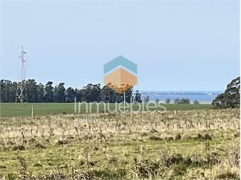 https://www.gallito.com.uy/campo-en-jose-ignacio-ideal-para-fraccionamiento-inmuebles-23856055