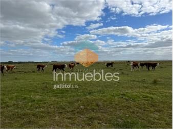 https://www.gallito.com.uy/campo-en-el-departamento-de-lavalleja-inmuebles-23665680