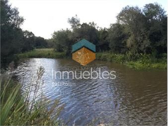 https://www.gallito.com.uy/campo-en-garzon-cerca-del-pueblo-garzon-inmuebles-23920432