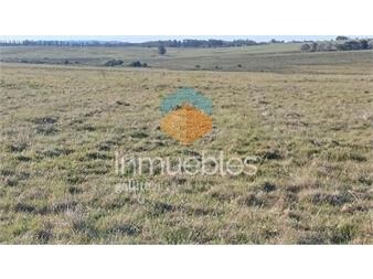 https://www.gallito.com.uy/campo-10-has-monte-eucalipto-cañada-y-pasa-la-luz-inmuebles-23926928