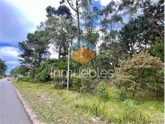 https://www.gallito.com.uy/venta-terreno-en-burnett-maldonado-1300m2-inmuebles-26284953